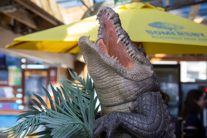Growling Gator gallery image 21